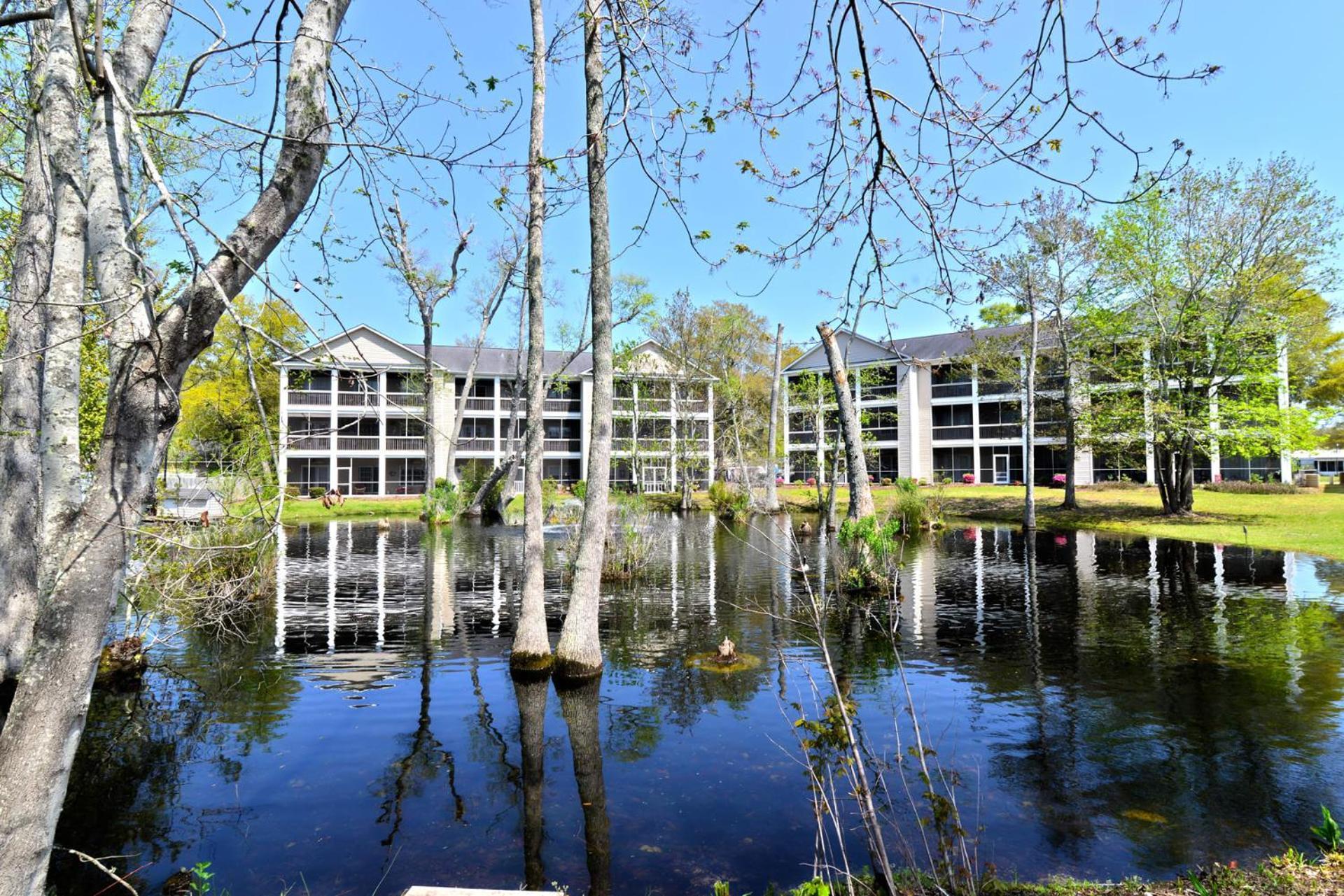 All New Luxury Beach Retreat 1 Mile To Beach W Pool Myrtle Beach Kültér fotó